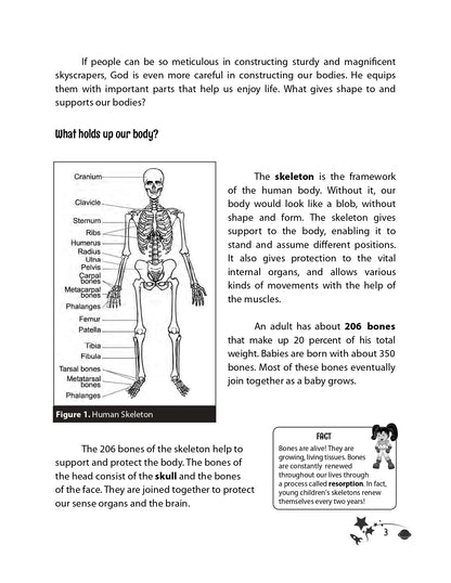 PT Science - Grade 4