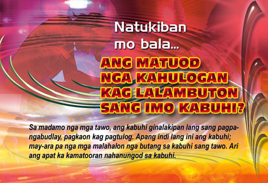 Ang Matuod nga Kahulogan kag Lalambuton sang Imo Kabuhi